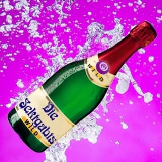 Feministischer Filmabend mit den Sektgabi*s | Gartenlokal FORTSCHRITT